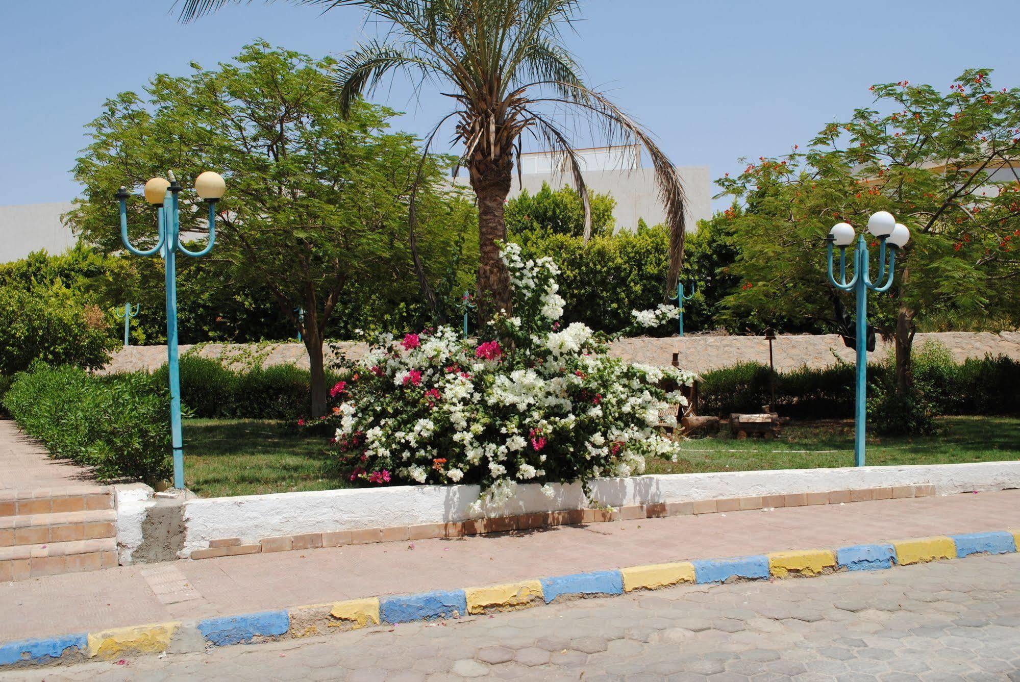 Sharm Cliff Resort Экстерьер фото